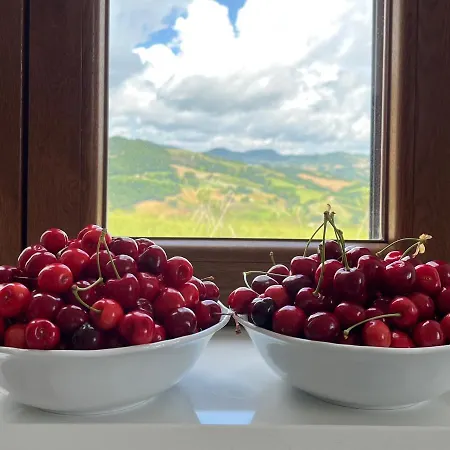 Vecchi Maestri Luxury Adults Only With Breakfast Daire